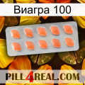 Виагра 100 26